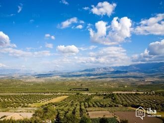 Панорама оливковых рощ Баэсы.