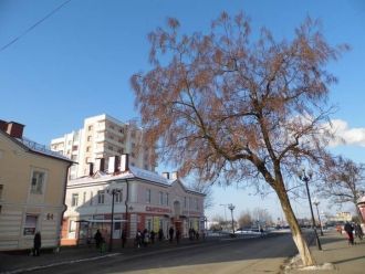 Улица Барановичей