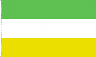 Флаг Чинандега.