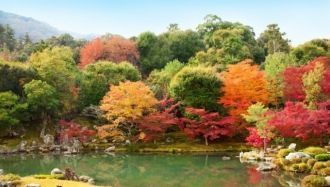 Осенний сад Киото.