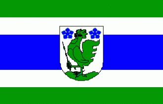 Флаг города Пылва.