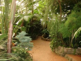 Амурский ботанический сад