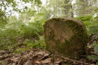 Один из камней Thynghowe в Шервудском ле