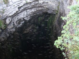 Пещера Ласточек настолько привлекла Джей
