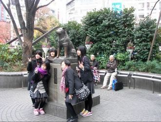 Памятник Хатико - одно из популярнейших 