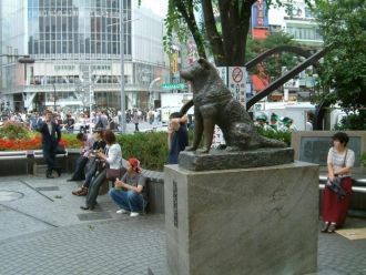 Памятник Хатико - самое популярное место