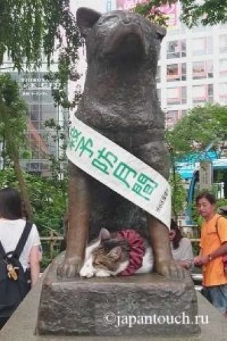Статуя знаменитой верной собаки, находит