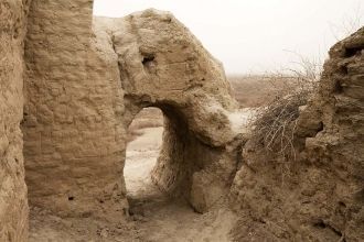 Руины городища Варахша.