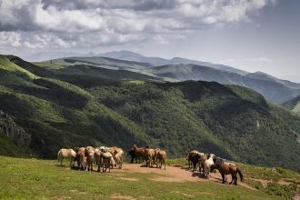 В национальном парке Центральный Балкан 