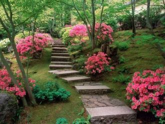 Японский сад в Монако.