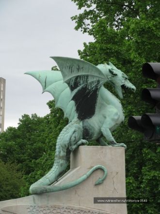 Змей или Дракон – признанный символ горо