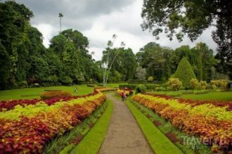 История королевского ботанического сада 