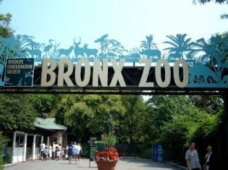 Бронкский зоопарк площадью чуть более 1 