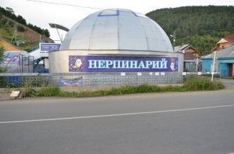 В нерпинарии Иркутска для морских млекоп