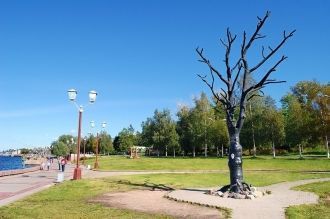 «Дерево желаний» — подарок шведского гор