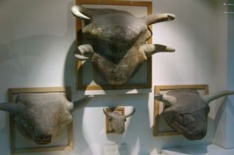 Голова быка из Чатал-Хююка в музее в Анк