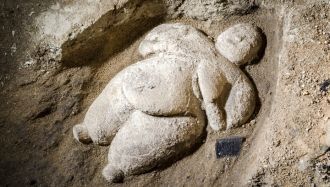 Найдена уникальная статуэтка эпохи неоли