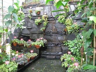 Выставка фиалок в ботаническом саду Хель