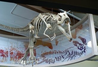 Один из динозавров, найденных на террито
