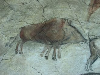Копия рисунка из Альтамиры, палеонтологи