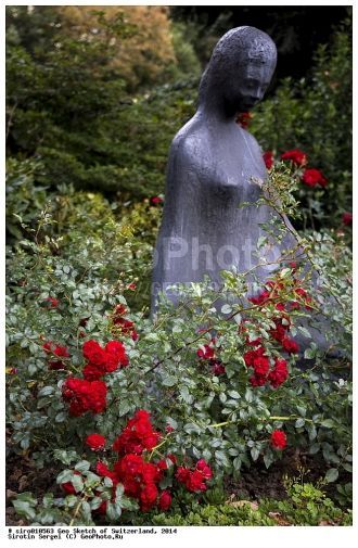 Статуя женщины среди красных роз, ботани