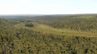 Национальный парк Эмас занимает территор