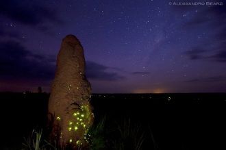 Эмас национальный парк ночью.