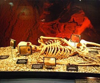 Скелет, найденный при раскопках в Бру-на