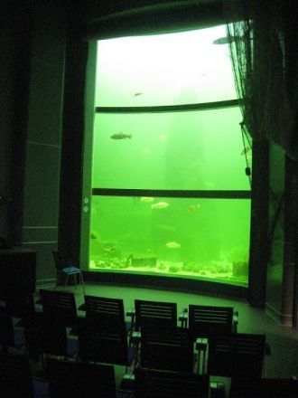 Самый крупный из 22-х аквариумов - это б