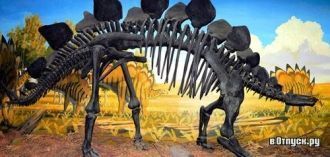 Скелет динозавра.