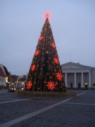 Рождественская елка на Ратушной площади.