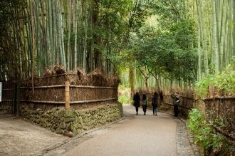 Бамбуковый лес Сагано, Япония.