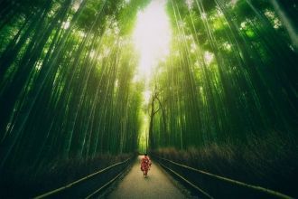 Бамбуковый лес Сагано.
