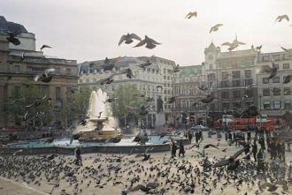Раньше Trafalgar Square привлекала жител