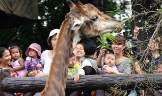 Зоопарк часто посещают родители с детьми
