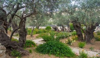 Гефсиманский сад в христианстве почитает