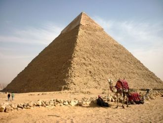Верблюд на фоне пирамиды Хефрена.