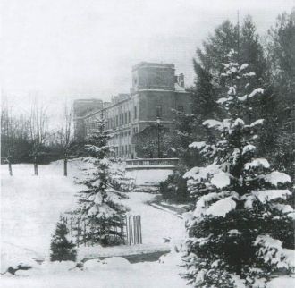 Гатчинский парк зимой 1902 г.