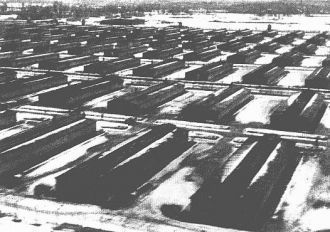 Бараки в лагере Освенцим-Биркенау. Фотог
