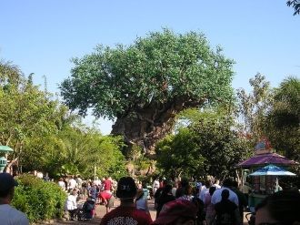 Дерево жизни, символ Диснеевского Короле