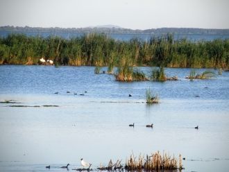 Кугурлуй — красивое озеро в Одесской обл