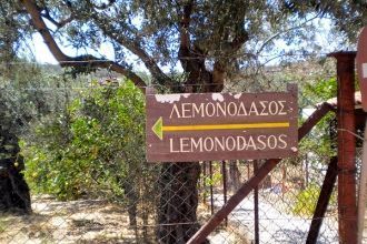 Указатель у входа в лимонный лес Лемонод