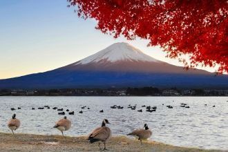 Действующий вулкан Фудзияма находится на