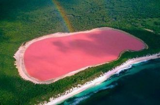 Озеро розового цвета вызывает огромный и