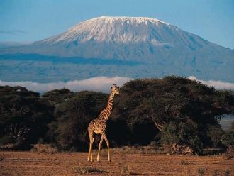Килиманджаро возвышается над плоскогорье