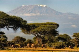 Ледовая шапка Килиманджаро ограничиваетс