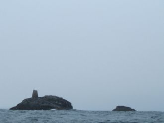Кельтское море чрезвычайно богато планкт