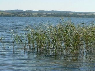 В озере обитает 22 вида рыб, среди котор