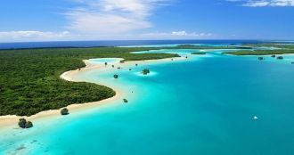 Климат в Новой Каледонии – тропический п
