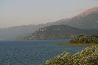 Охридское озеро населяют сотни видов орг